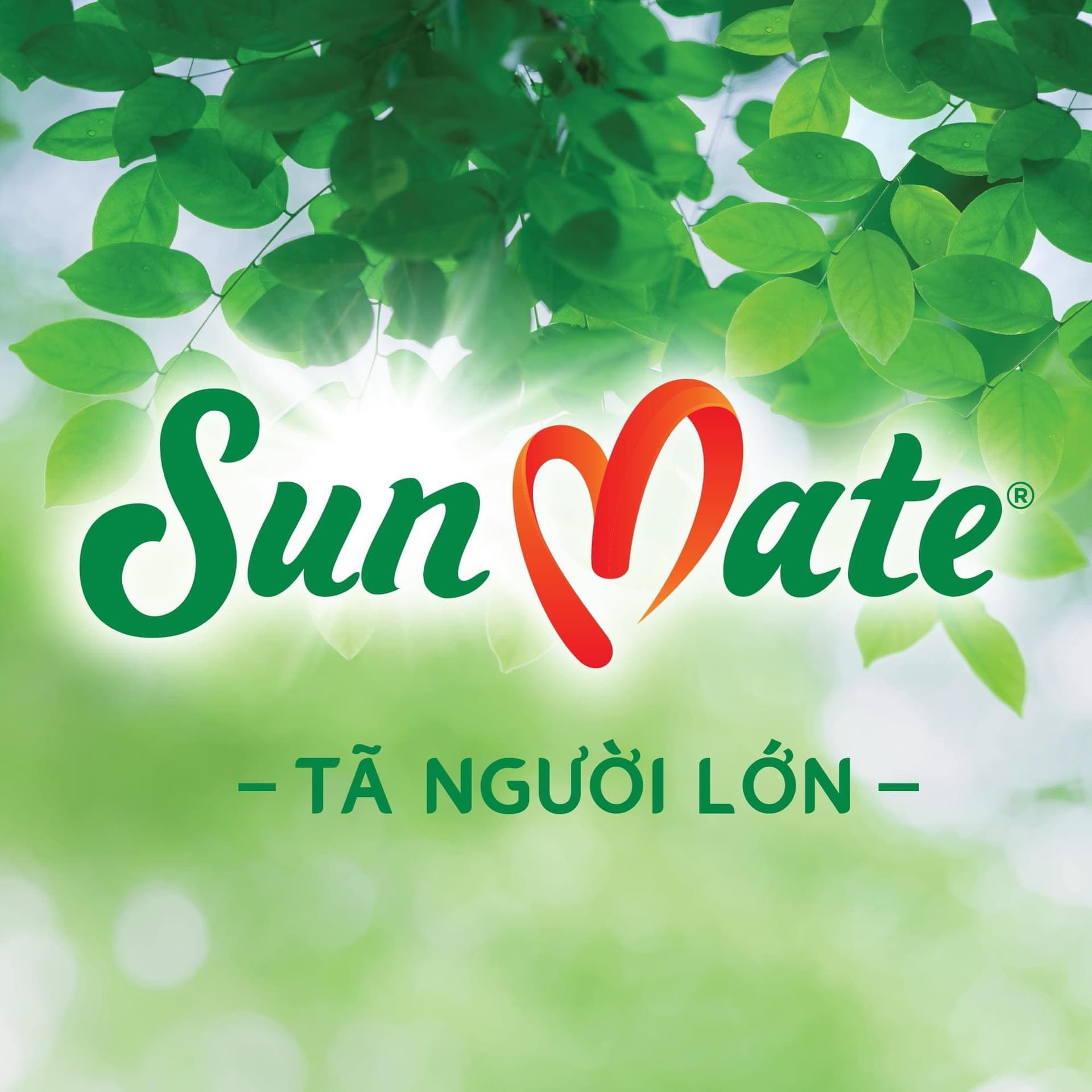 Hình nền đăng nhập